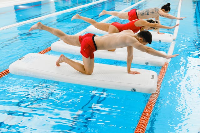 Zonlentonia transformacja